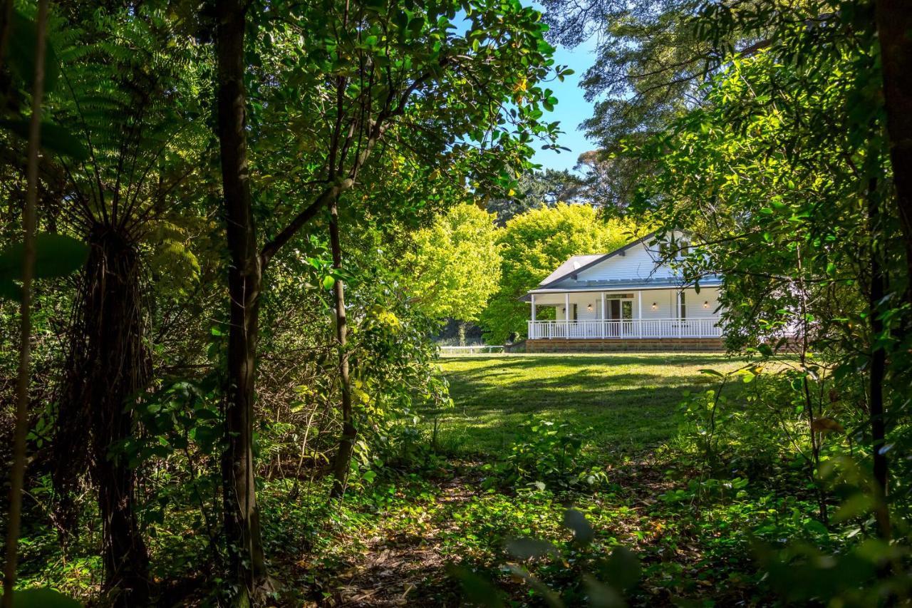 The Forest House Pirinoa Экстерьер фото