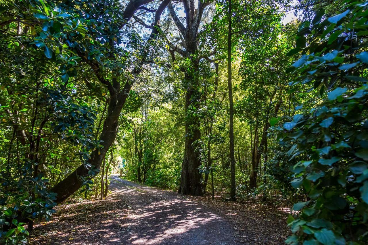 The Forest House Pirinoa Экстерьер фото